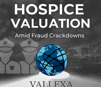 Professional Vallexa Advisors banner showcasing global healthcare M&A expertise with a blue networked globe symbolizing connection, trust, and growth.